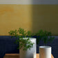 1616/ arita japan CMA Vase Large Jar White
