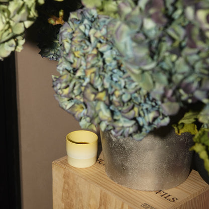 1616/ arita japan  S&B Espresso Cup Light Yellow/Light Blue/Light Pink Dots/White/Light Pink