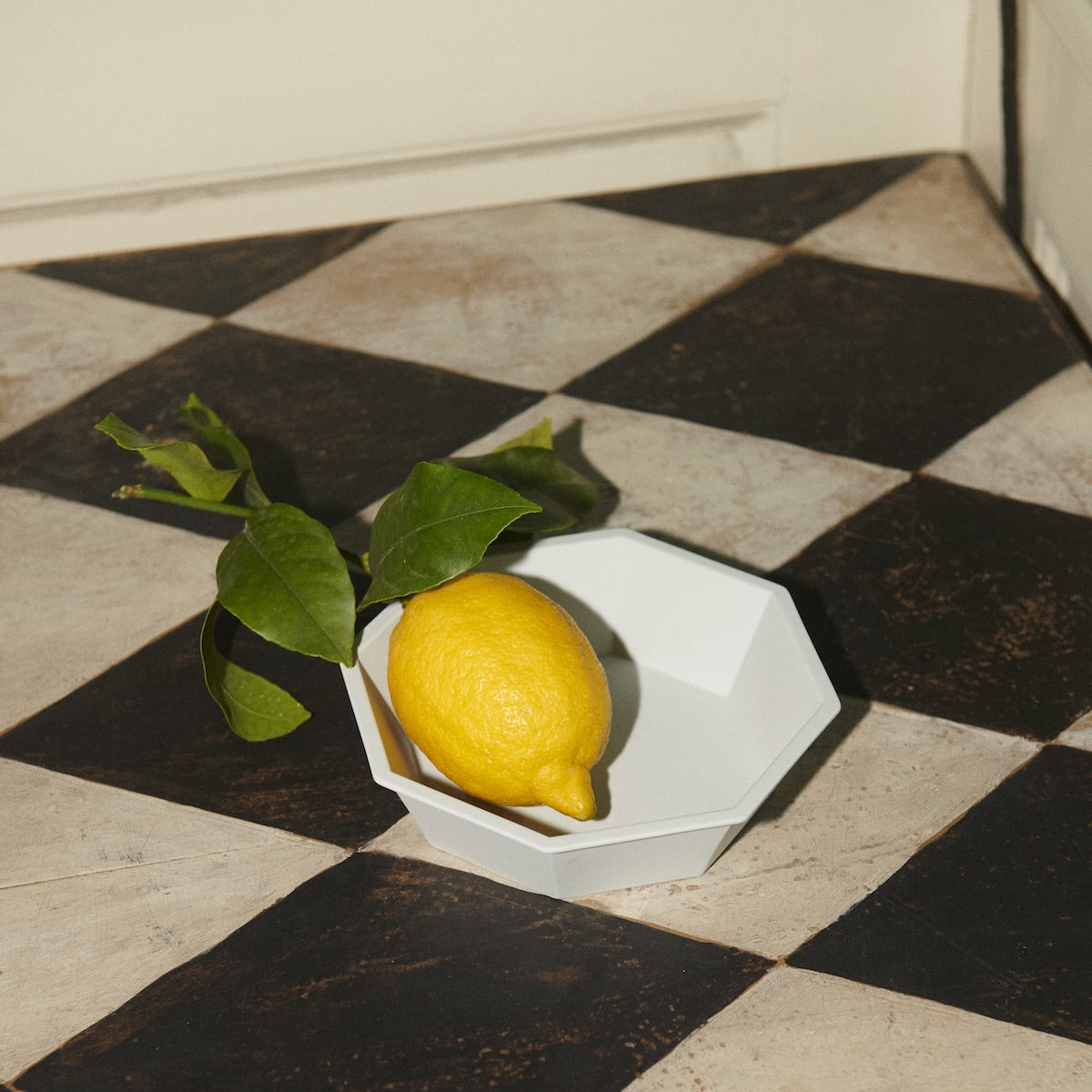 1616 / arita japan TY Anise Bowl  Grey 220 / 150