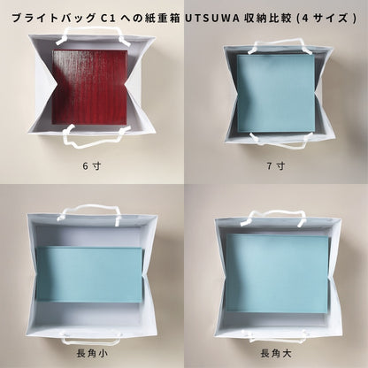 手提袋 ブライトバッグ C1 (50枚)